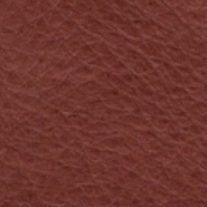 Leather - Cognac swatch